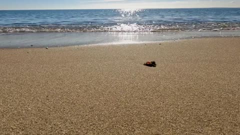 POV Beach Walk to Soothe Your Soul