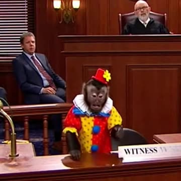 The Clown Monkey Trial