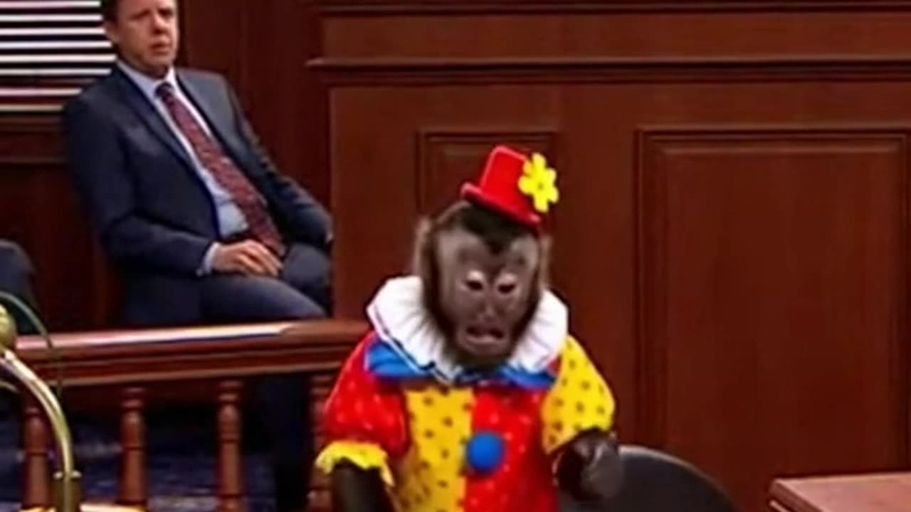 The Clown Monkey Trial