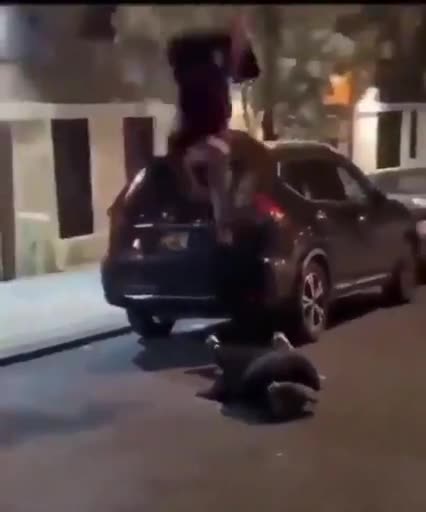 THIS IS WHAT THESE SCUMBAGS WILL DO TO YOU 💀 IF YOU DO NOT GET INTO THE FIGHT