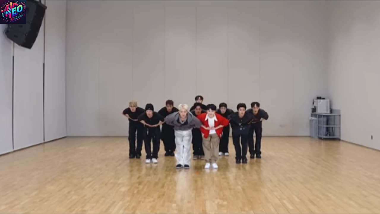 [Choreography Video] HOSHI X WOOZI (SEVENTEEN) – STUPID IDIOT | Dance Performance