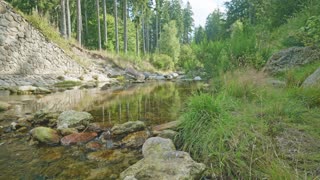 Meditation with Nature - Flowing Water & Forest - Part 1