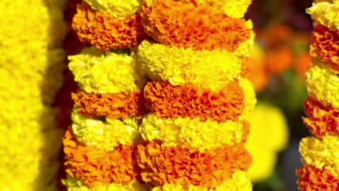 गुढीपाडव्याच्या हार्दिक शुभेच्छा! 🔆