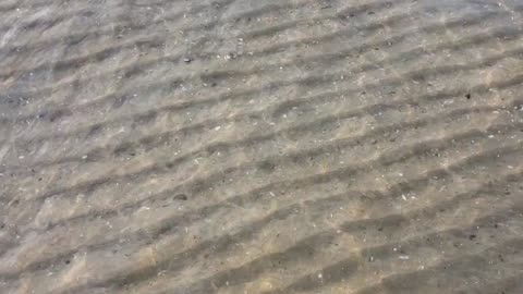 Ipperwash Beach in Lambton Shores Ontario 2025