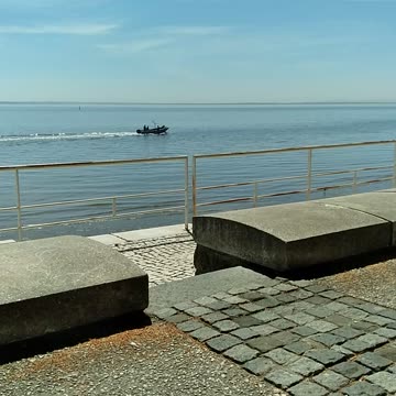 No semen on the poop deck