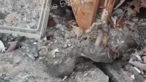 Ukraine war combat footage 8/12/25