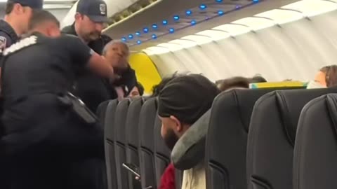 Woman Who Was a Problem From the Gate to the Plane Gets Removed While Sounding Clueless