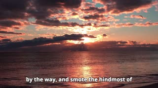 Deuteronomy Chapter 25