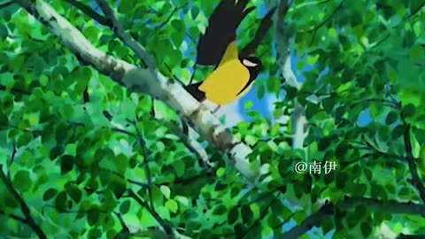 Natural Cartoon ☺️