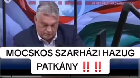 Mocskos Szarházi Hazug Patkány