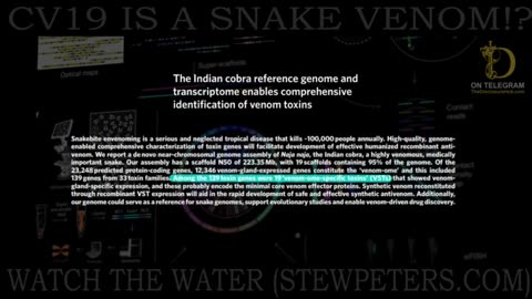 WATCH THE WATER