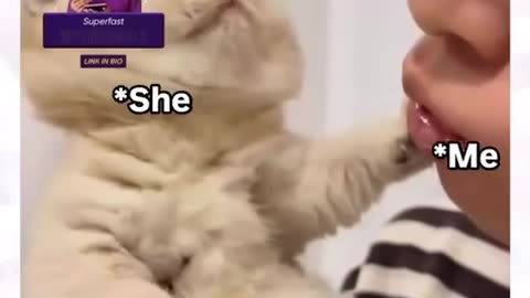 Funny animal