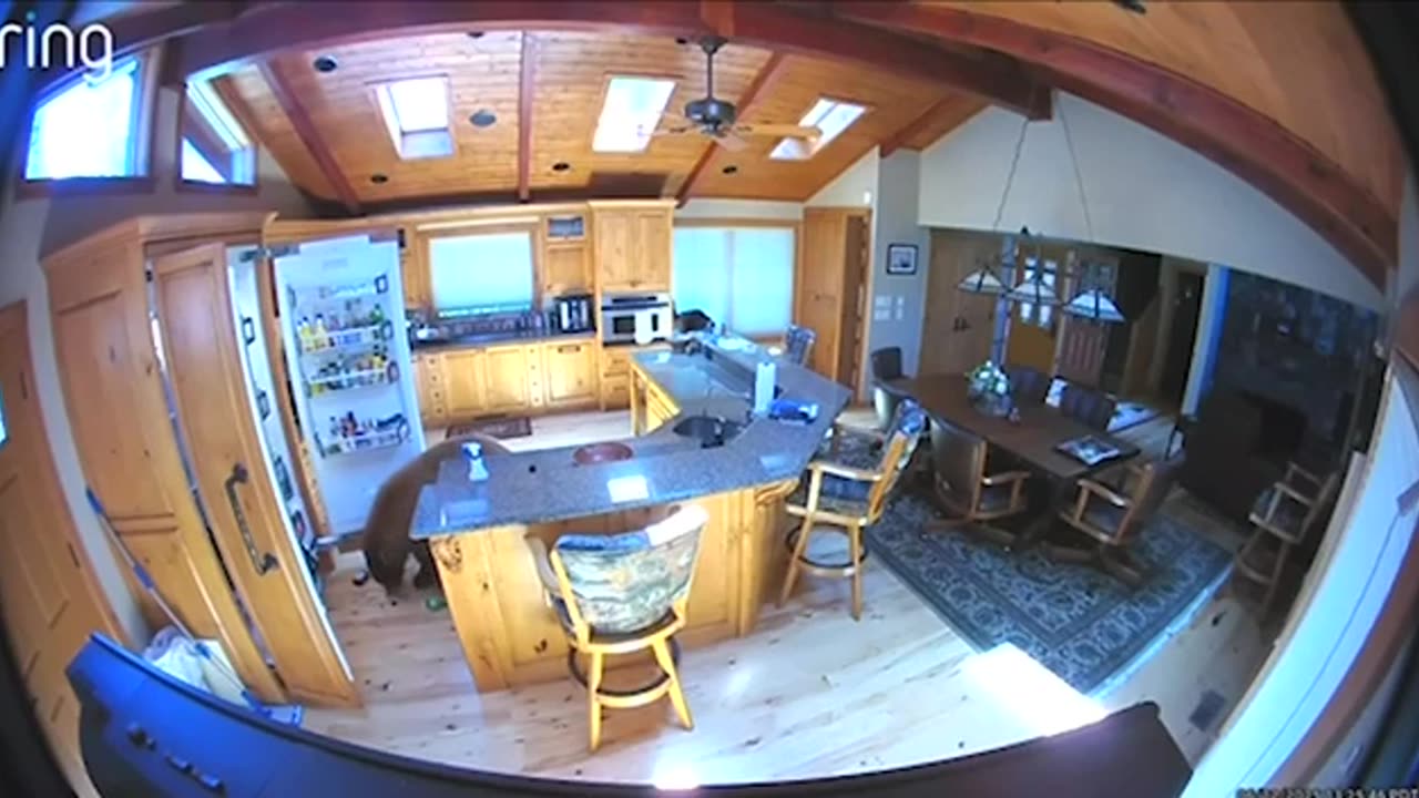 Kitchen and fridge inspection time 🤣