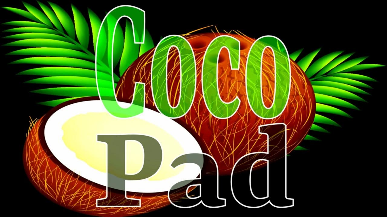 COCO PaduRaru GymSong FloorMusic WorkOut Mix