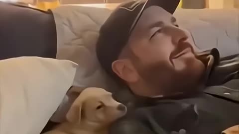 sincere feelings of dogs ❤️