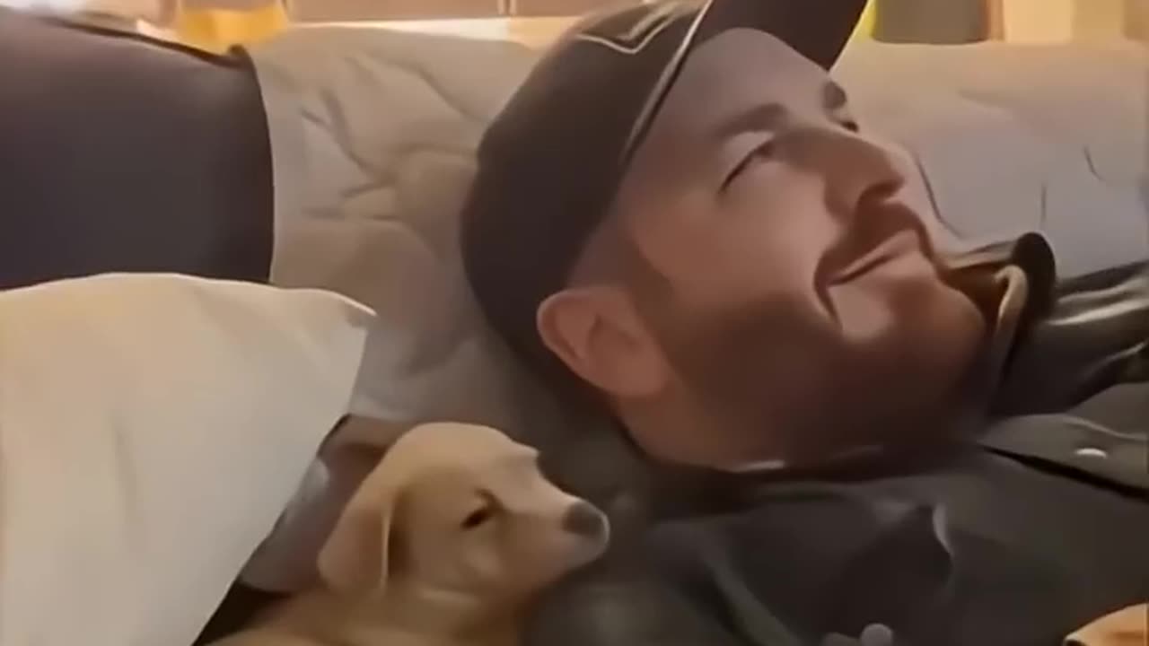 sincere feelings of dogs ❤️