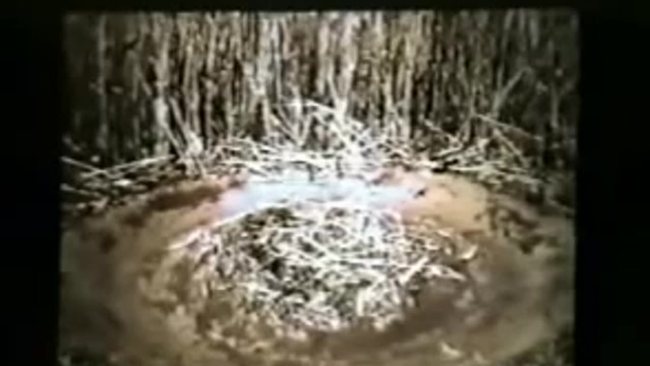 William Cooper Behold a Pale Horse Lecture