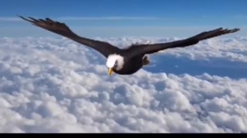 MUDE A SUA ATITUDE, BUSQUE UM PROPÓSITO PARA SUA VIDA!