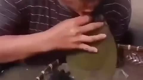 😂🐢 Kissing a Turtle Gone Wrong Instantly! | FunFM