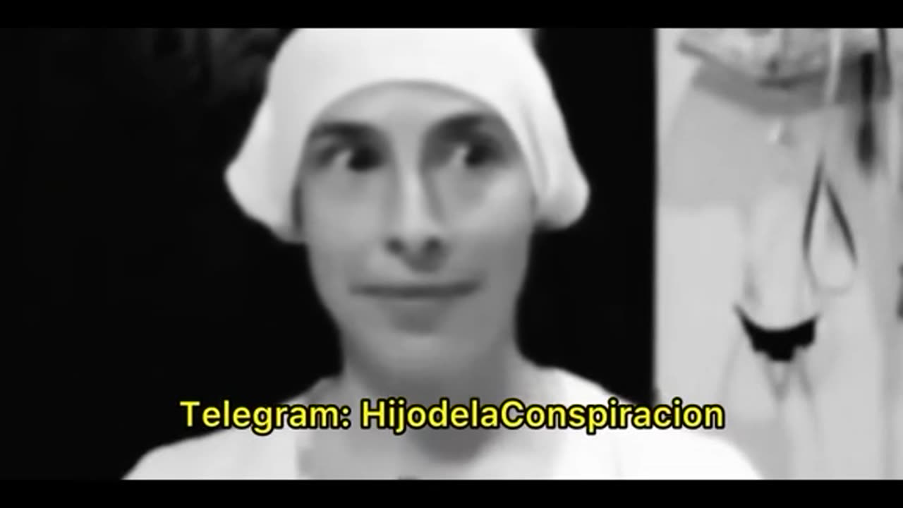 LA REALIDAD DEL SYSTEMA ALIMENTICIO