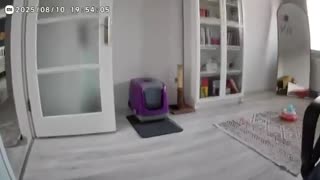 WATCH: Strong earthquake (deprem) hits western Turkey.