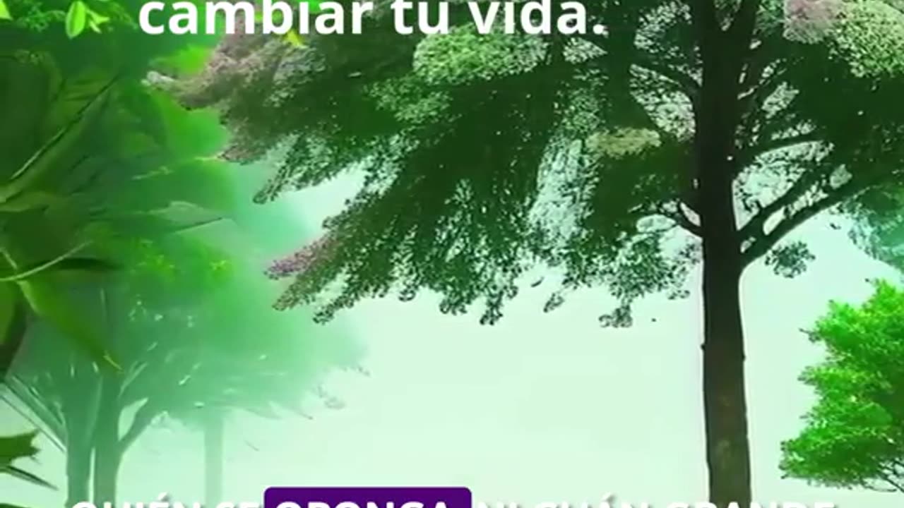 Cuando Dios Decide Bendecirnos | Un Devocional sobre las Bendiciones de Dios