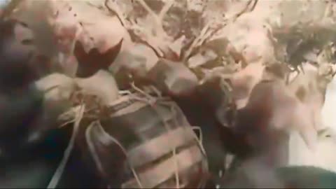 Allied Unity Training 1944