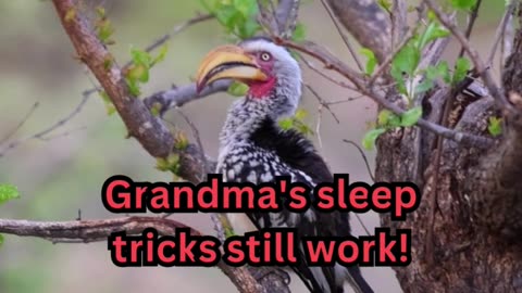 Indian Subcontinent Sleep Issues#PreggoSleep 🤰 #MomLife 💤 #SleepHacks 🌙 #BabyBump 🛏️ #DreamOn 😴