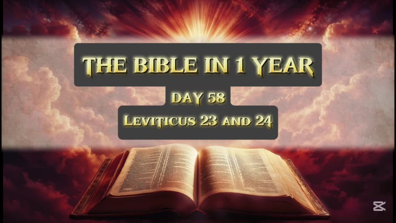 Day 58 of 365 (THE WHOLE BIBLE)
