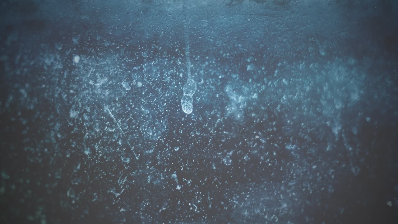 Poilievre to face a leadership review