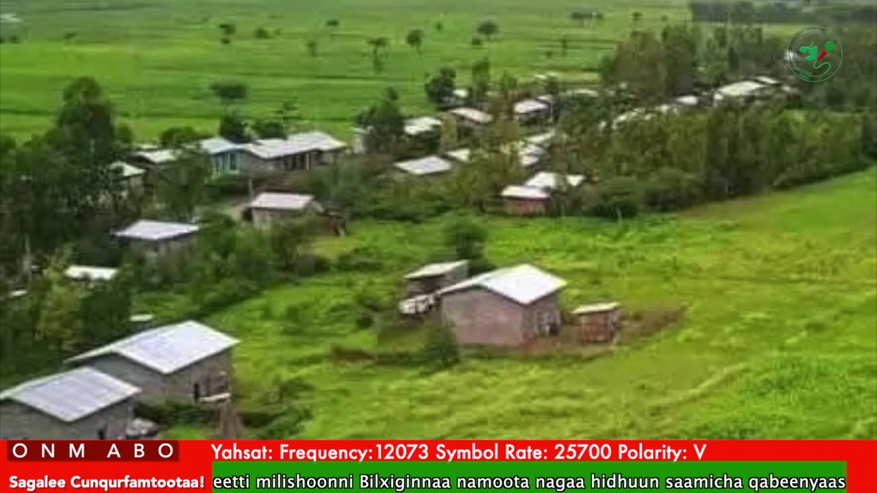 Oduu Waaree ONM-ABO Hagayya 20-2025 itti dhiyaadhaa!