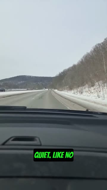 Extreme silence in woods