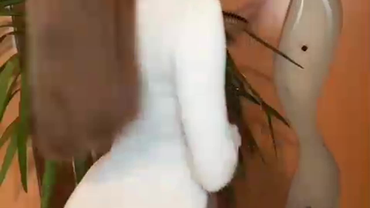 Future of Beauty 😍✨🔥