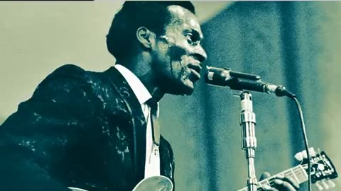Chuck Berry - You Never Can Tell