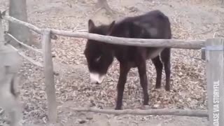 Having a Smart Friend Pays Off
