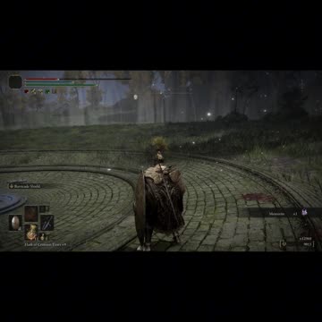 Elden Ring NG+1 | Onyx Lord boss fight solo #eldenring #eldenringbosses #eldenringguide #shorts