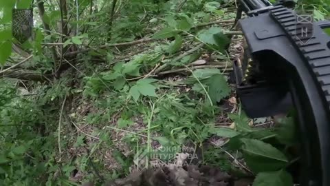 Ukrainian Recon Group Goes Full-On Metal Gear Solid, Silently Operating Behind Russian Lines