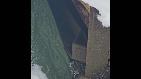 Virgil german shepherd.