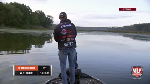 lets watch some fishing