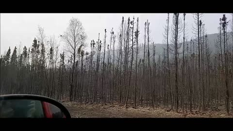 Alaska Pt. 11