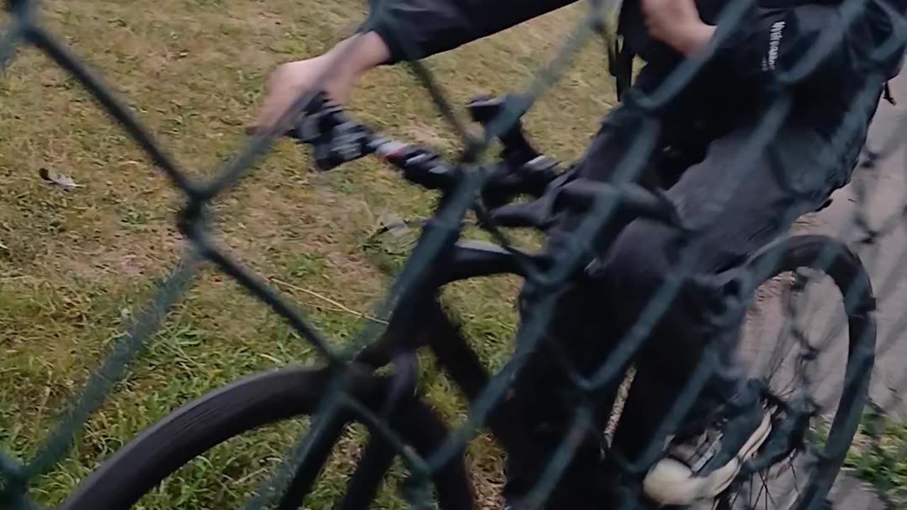 Sunflower smiles team