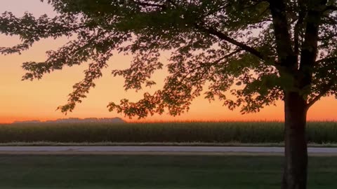 Early Fall ☀️ Sunrise