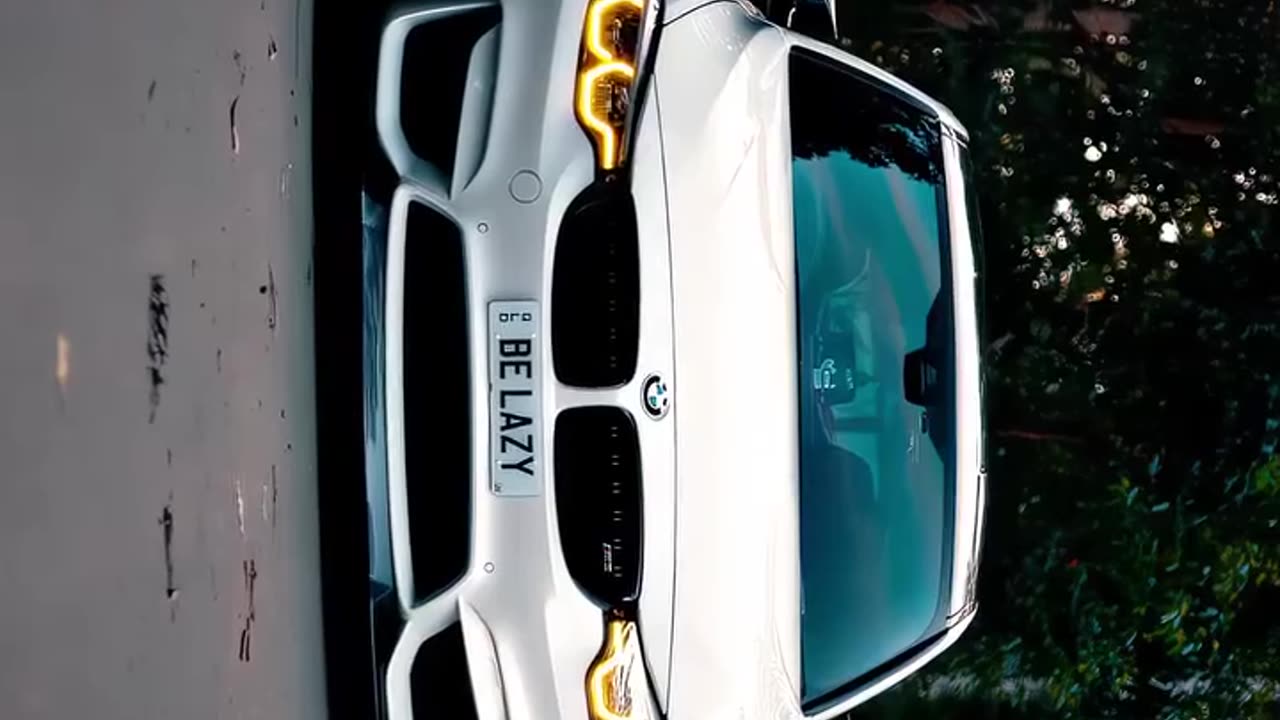 car lover is here