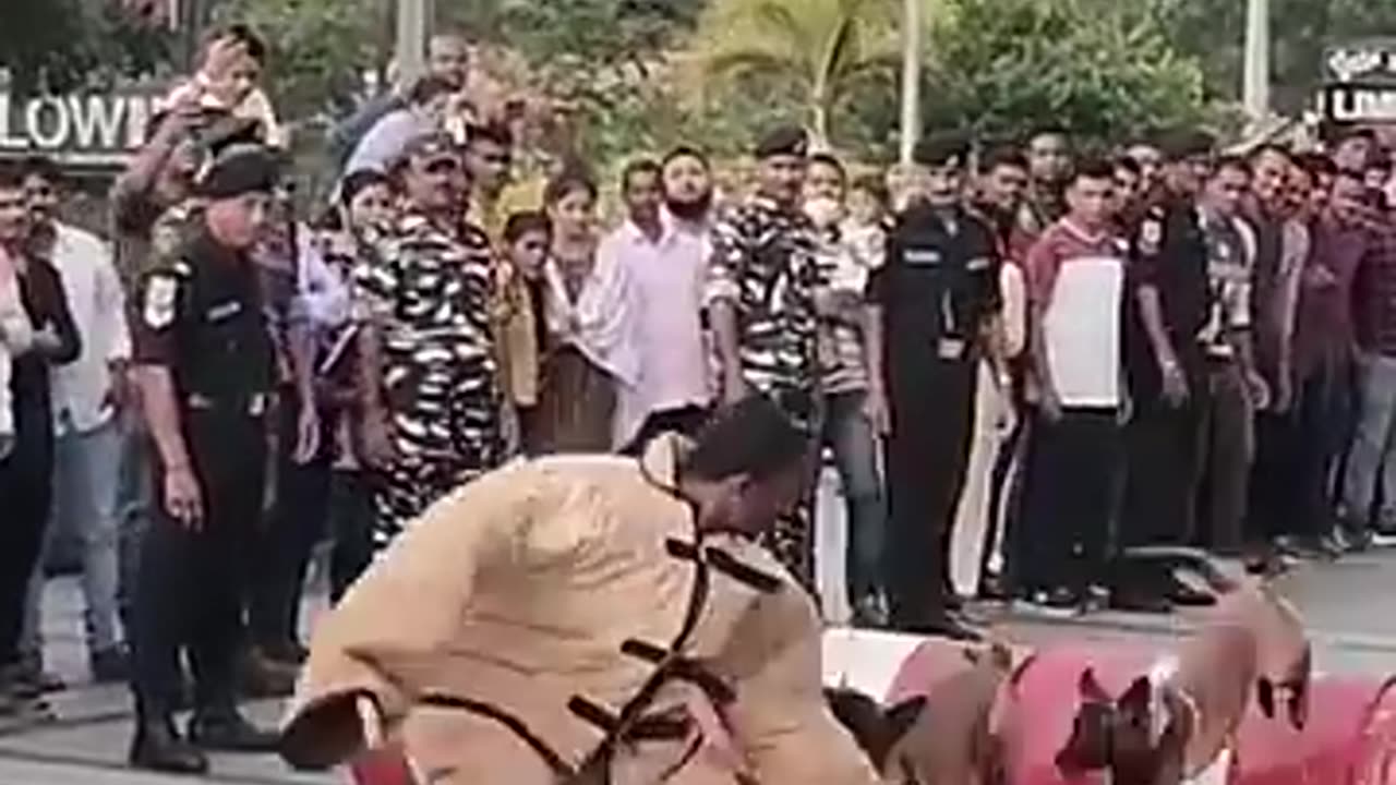 Must Watch: Falcon's Deadly Training - From Practice to Perfect Hunt #trending #
