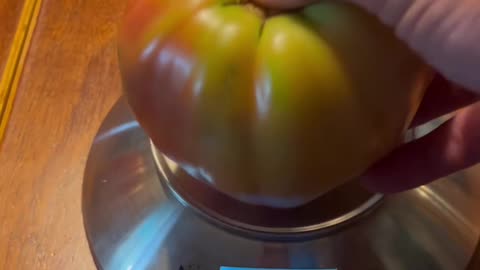 Another Large Domingo Tomato from My Raised Bed
