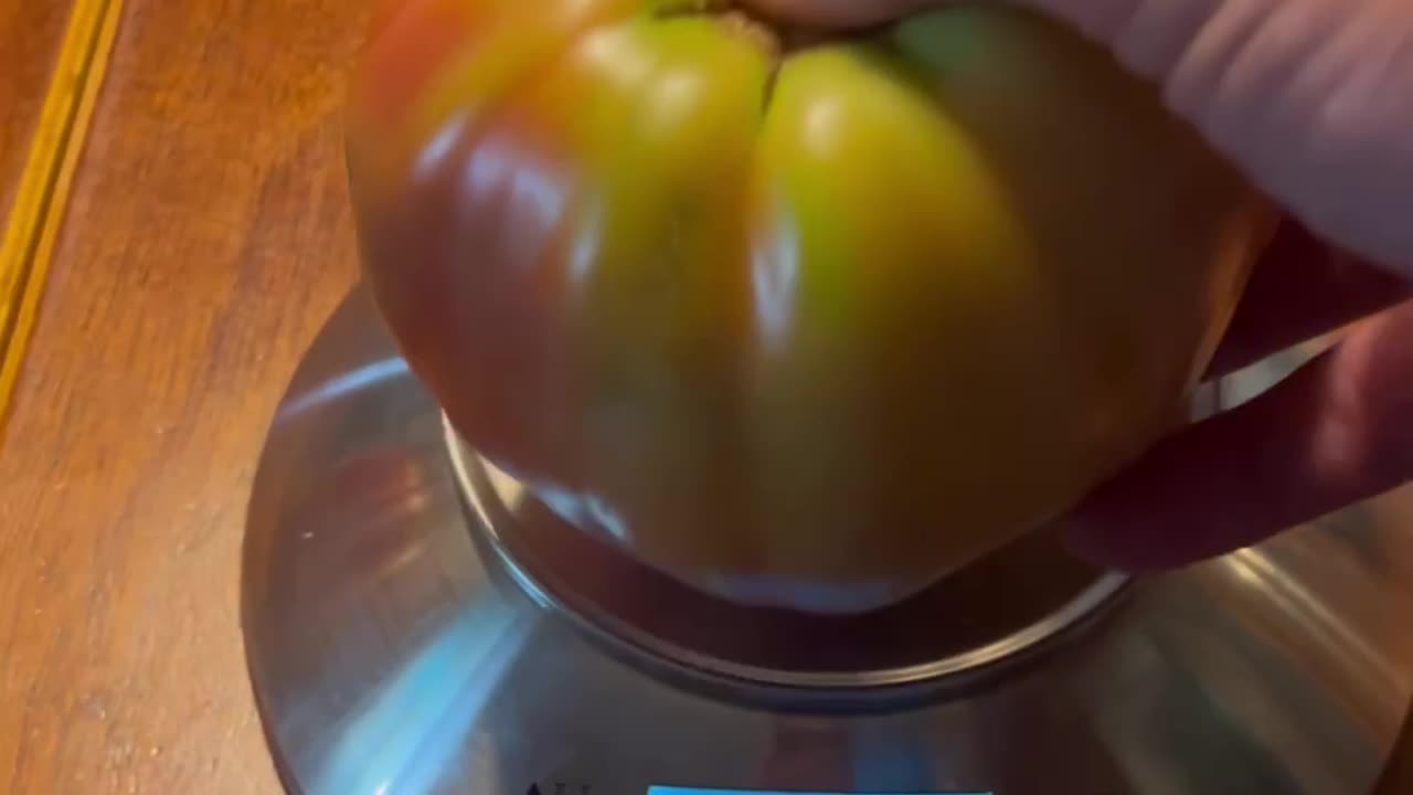 Another Large Domingo Tomato from My Raised Bed