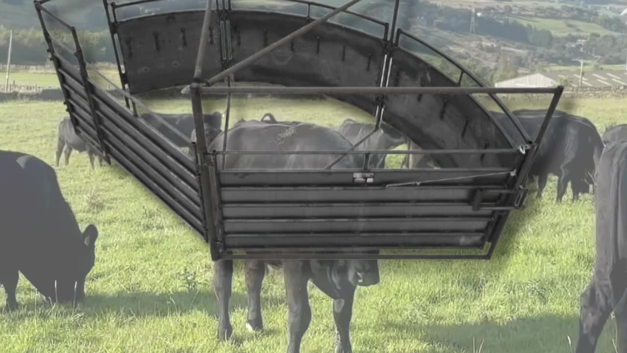 American-Made Crowding Tub