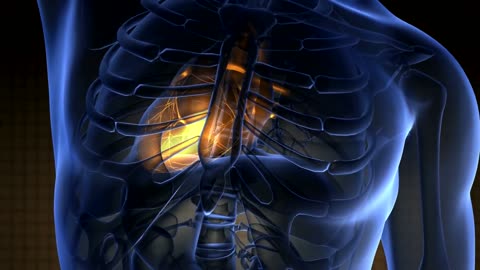 12 benefits of Selenium