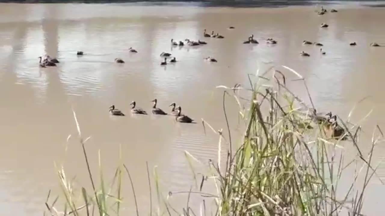 😌🌿 The Most Relaxing River Scene Will Calm Your Mind! | FunFM