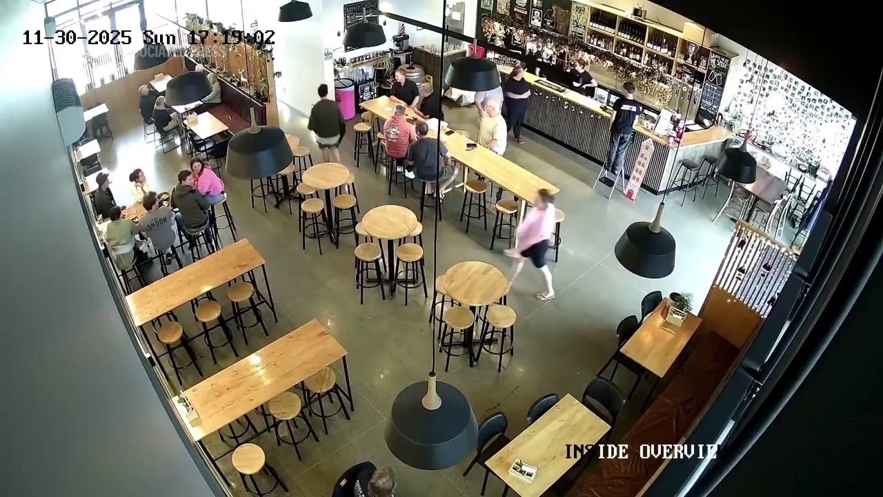 A baby seal, clearly underage and a bit too curious for its own good, waddled into a New Zealand